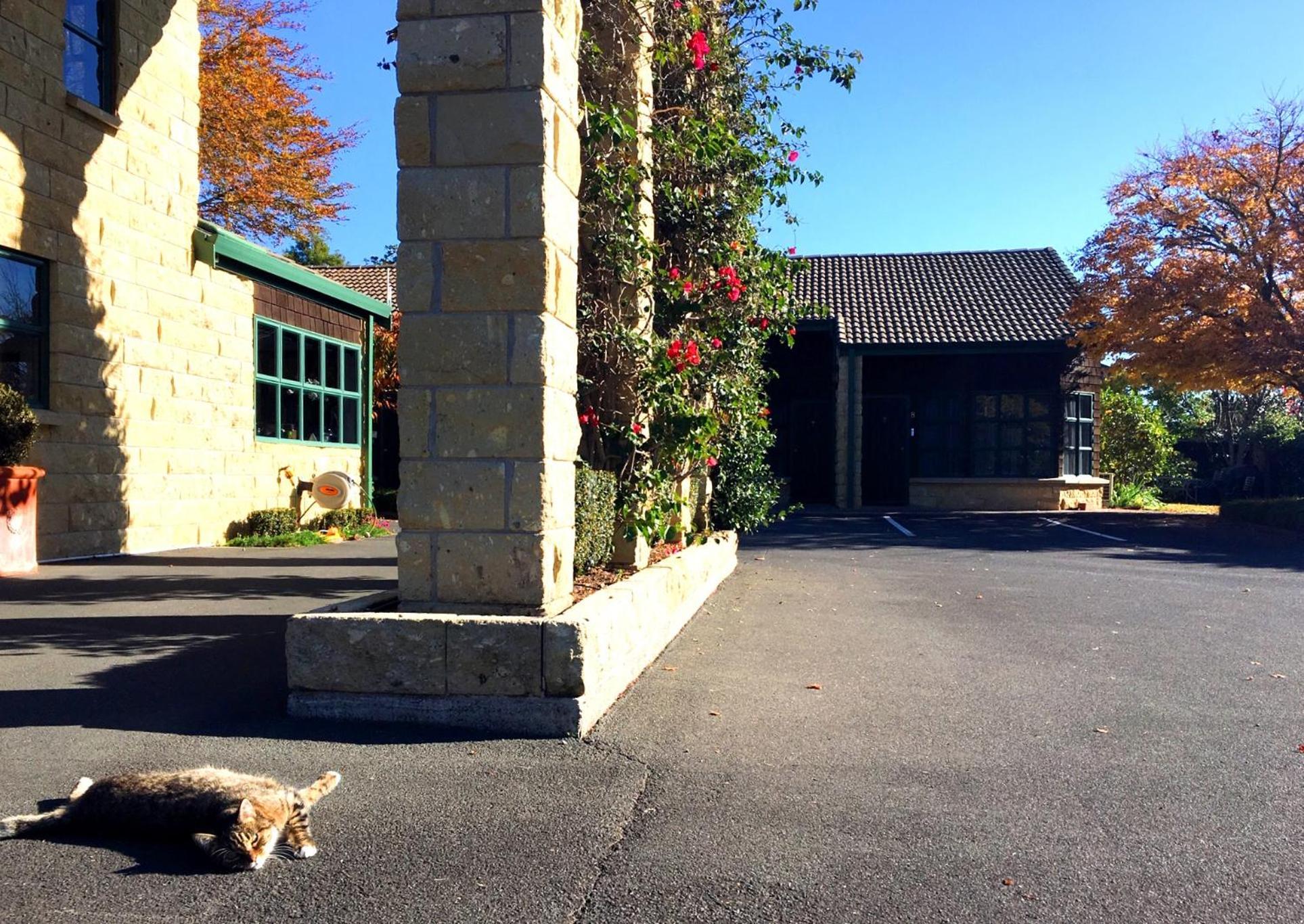 Cambridge Mews Motel Eksteriør billede