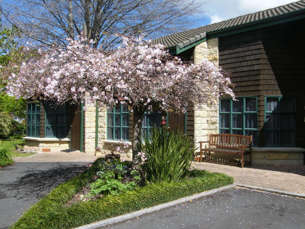 Cambridge Mews Motel Eksteriør billede
